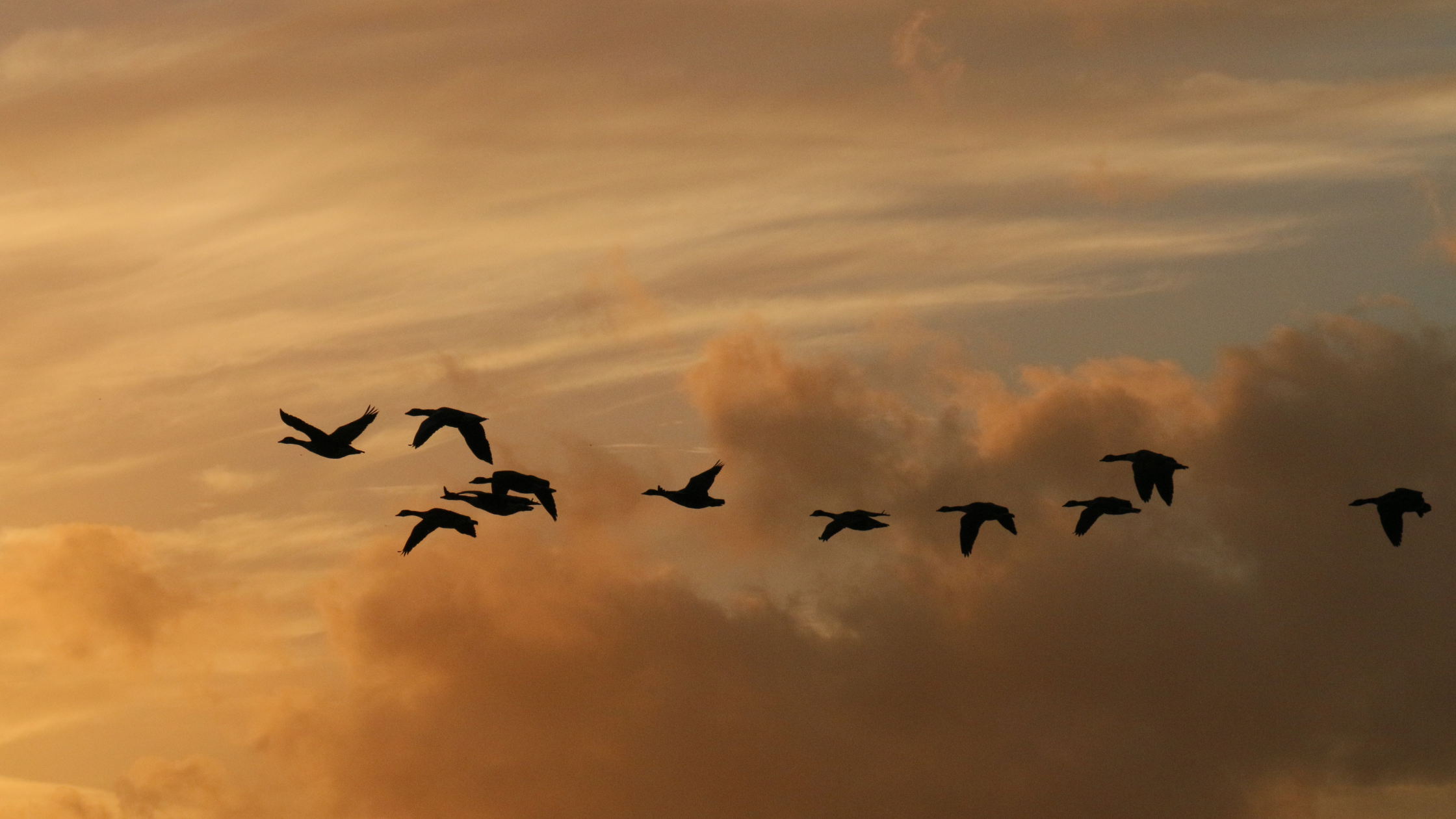 ¿Quieres migrar tus aplicaciones a la nube? Descubre BeCenter